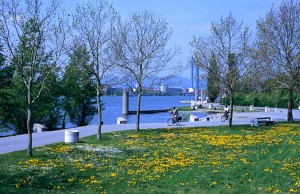 Cycling Trail Danube